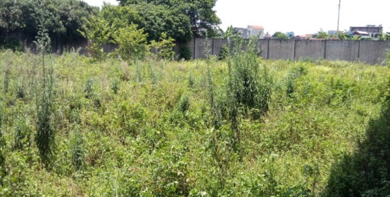 Bán đất xây dựng xưởng tại Long Đằng, Phùng Chí Kiên, Mỹ Hào, Hưng Yên.