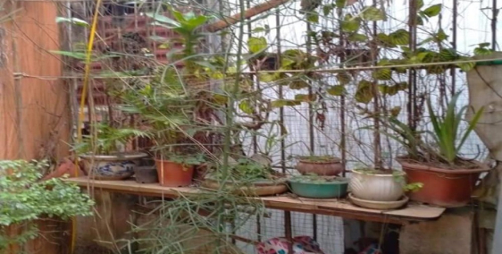 Bán nhà Văn Hương 32m, 3T, MT6, 2.3 tỷ ngõ rộng thoáng