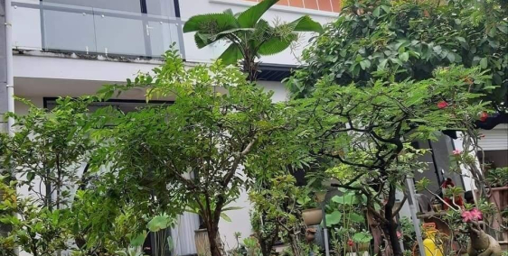 [NTB.141] Nhà hiếm ngang 5M -  HXH - Âu Cơ Q.Tân Bình 65m2(5x13) - chỉ 6 tỷ.