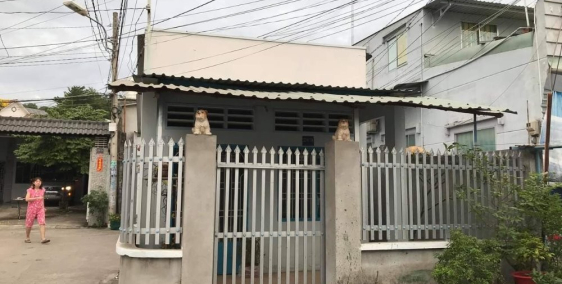 Nhượng gấp nhà cấp 4 ở Thích Quảng Đức, Bình Dương
