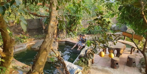 Nhà vườn 2 mặt tiền 1500m2 xã Thắng Quân, Tuyên Quang.