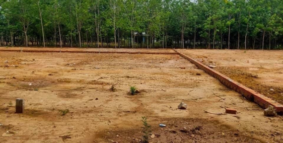 Đất Vĩnh Tân giá rẻ, Bán nhanh lô đất ngay khu Đình Vĩnh Tân, cách đường ĐT 742