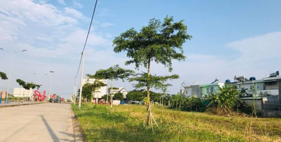 Đất nền thổ cư phường 1 Bạc Liêu