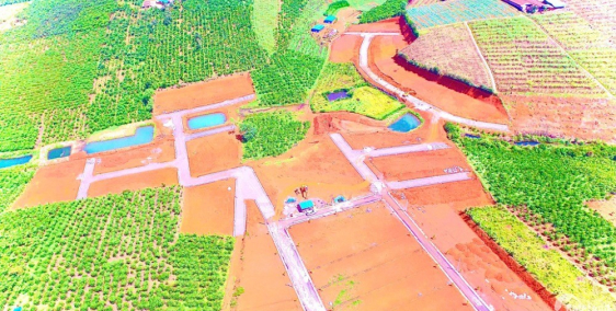 Đất Nền Biệt Thự Nghỉ Dưỡng Sân Vườn Cao Cấp Pine Valley TP. Bảo Lộc