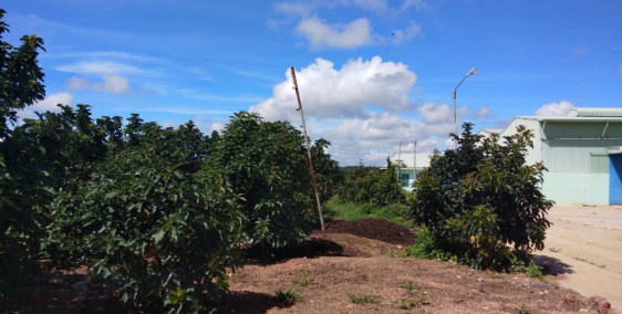 Bán nhanh 2ha đất đẹp xã Tà Nung, tp Đà Lạt – view thoáng, giá tốt