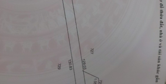 Bán gấp lô đất 1056m2 tại Minh Hòa Dầu Tiếng Bình Dương giá 320tr giá thật 100%