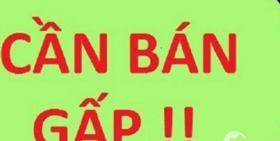 Tôi Cần Bán Gấp Mảnh Đất 135m2 tại Láng Hạ, Đống Đa, Nở Hậu, Ngõ Ôto, Đầu Tư Đỉn