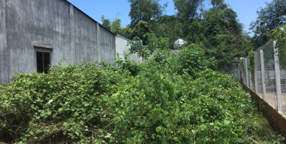 Bán đất Mặt tiền thổ cư, SHR chính chủ ngay chợ Lộc Giang