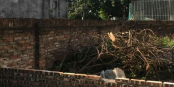 Bán đất Trâu Qùy –Gia Lâm ,32m2,giá 36tr/m2