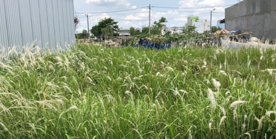 CHÍNH CHỦ BÁN ĐẤT KHU DÂN CƯ XUYÊN Á NGAY CẦU LỚN HOCMON