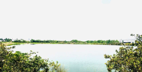 Cần bán lô đất mặt tiền đường xuân thới thượng