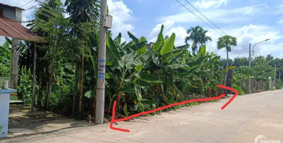 Cần tiền mùa dịch bán gấp lô đất tân long,phú giáo.236m2 TC 204m2 SHR giá 600tr.