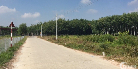 Cần bán đất Phú Giáo đường bê tông, thông mọi hướng giá tốt vị trí đẹp giá 2,4tr