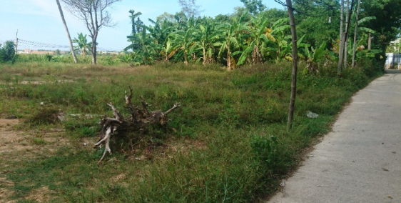 Đất kiệt bê tông Bình Nguyên thăng bình Quảng Nam