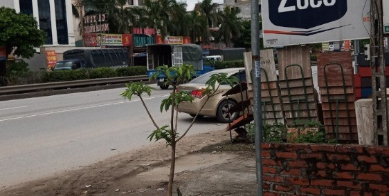 Bán đất mặt đường 5 đã có sổ đỏ, ngay chợ đường cái, giá rẻ: lh 0835459289