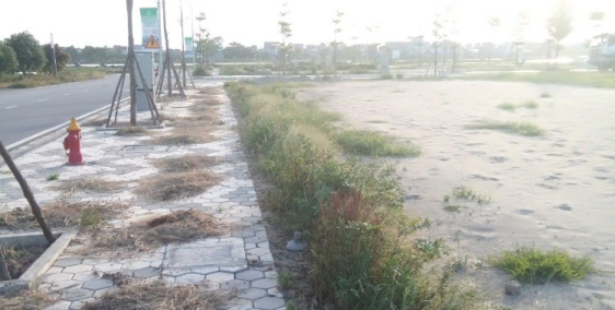 Siêu phẩm Bán lô đất mặt đường đôi tại khu đô thị Phố Nối House