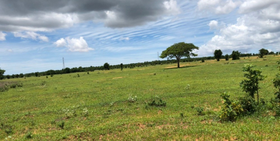 Cần bán lô đất nông nghiệp Bình Thuận tiềm năng