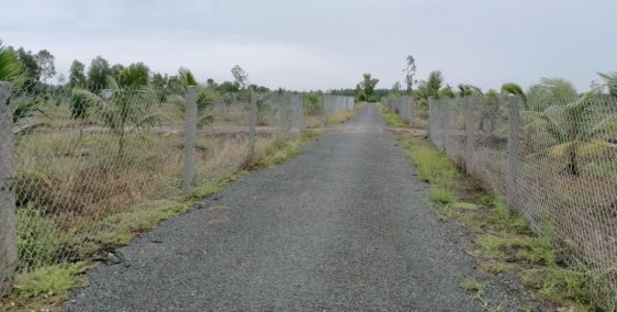 Đất Bến Lức Long An cần bán 1000m2