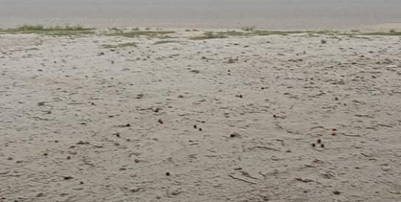 Đất mặt tiền lộ nhựa cần bán sát ql 55gần cao tốc gần  102 heta