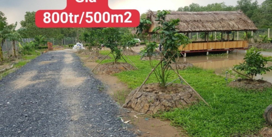 Cần bán mảnh đất vườn Củ Chi 500m2 sổ hồng riêng gần khu công nghiệp Tây Bắc