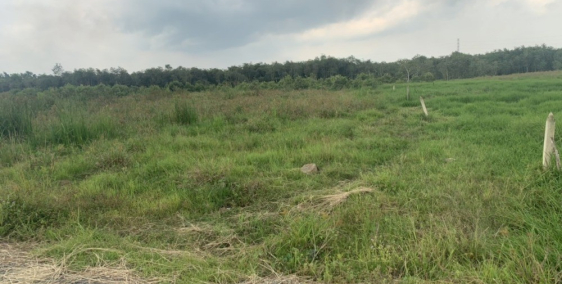 500m2 đất thổ vườn sổ riêng cách KCN Tây Bắc 2.5km.