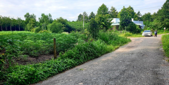 Cần bán 1 công đất ở Phước Bình. Ngon bổ rẻ nha mọi người!