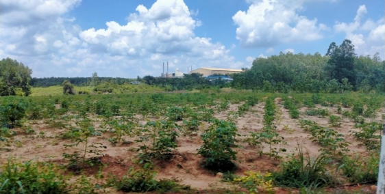 Đất ngay ngã ba 2 mặt tiền, đầu tư sinh lời cao