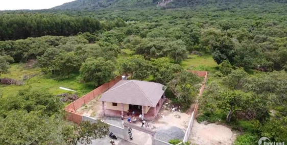 Do mình không có thời gian nên cần bán gấp miếng vườn 24.000m2, có thương lượng.