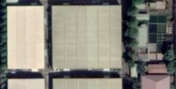 Cần cho thuê nhà xưởng gần quốc lộ 1A, trong KCN Bàu Xéo, Trảng Bom, Đồng Nai