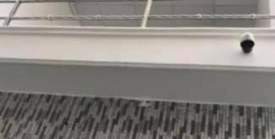 Cho thuê nhà nguyên căn hẻm quốc lộ 13 - P. Hiệp Bình Phước - Q. Thủ Đức.