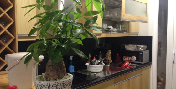 Bán chung cư Sài Đồng, 68m, 2 ngủ, No17-2, giá 1.35 tỷ