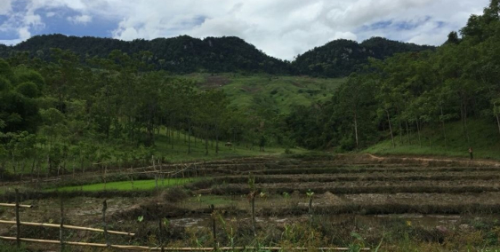 chuyển nhượng dự án 200 ha đất tại tỉnh hòa bình