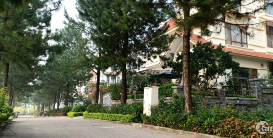 Bán Biệt Thự The Phoenix gardent Đan Phượng- Giá 25 triệu/m2