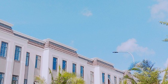 Biệt thự sân vườn view Sân golf mặt tiền Phan Văn Hớn vào HCM 3p