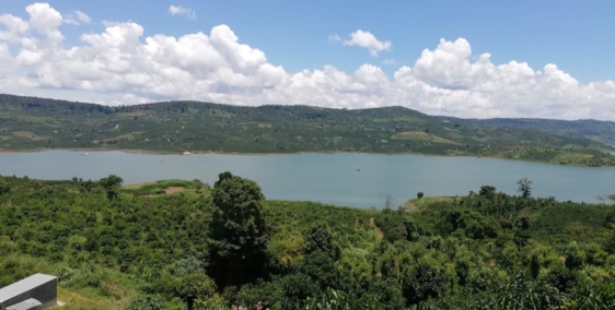 Đất trồng cây lâu năm. View sông Đồng Nai