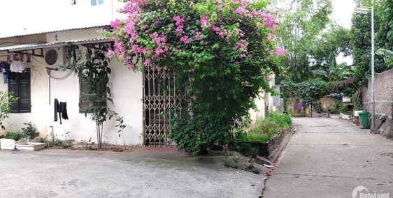 Bán đất Nguyễn Khoái, lô góc, phân lô, ô tô, 55m2đấtx4.7mx2ty 55.