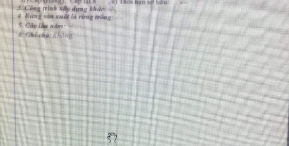 Bán nhà 2 mặt tiền đường, trung tâm TP cà mau