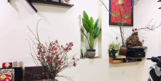 Bán nhà Pháo Đài Láng 55m2, 5 tầng gara 7 chỗ, kinh doanh 8,5 tỷ