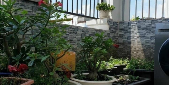 BÁN NHÀ HXH TRUNG TÂN QUẬN 10 KINH DOANH 41M2 Gía 7.8 Tỷ.