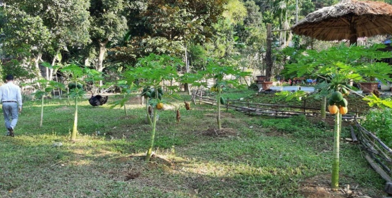 Thanh lý đất lô góc Linh Sơn Bình Yên Thạch Thất 471m2 full thổ cư