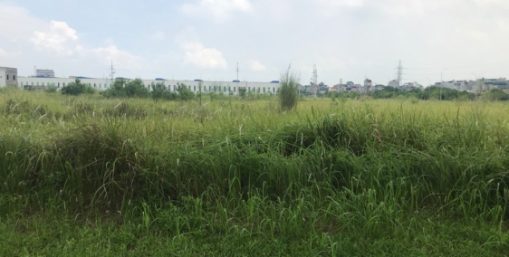 Cần chuyển nhượng lại lô đất 7000m2 trong KCN tại Bắc Ninh, lô góc vị trí đắc đị