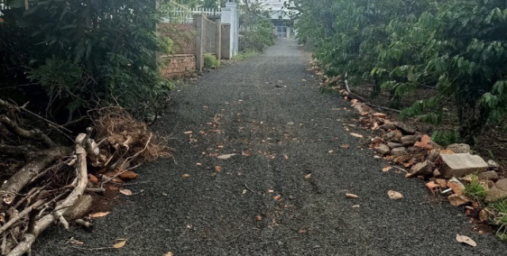 Bán 2 lô đất đẹp liền kề thuộc tp bmt