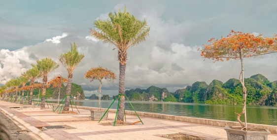 Đâu tư đất nền ven biển luôn là sư lựa chọn đúng đắn của các nhà đầu tư