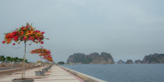 Chia sẻ cơ hội đầu tư dự án Green Dragon City