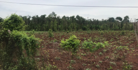 Bán đất khu dân cư bàn cờ bình giã thị trấn ngãi giao