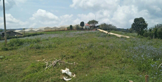 Bán Gấp lô xây dựng Măng Line giá chỉ 2,99 tỷ !