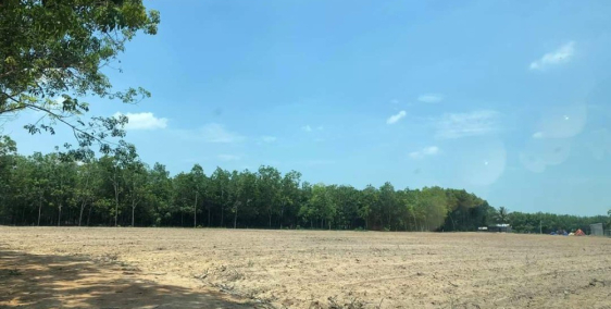 Bán gấp lô đất gần trường Tiểu học Định An sát ĐH704 – Dầu Tiếng