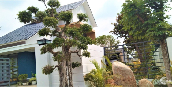 ĐẤT NGAY THÀNH PHỐ ĐỒNG XOÀI GIÁ RẺ