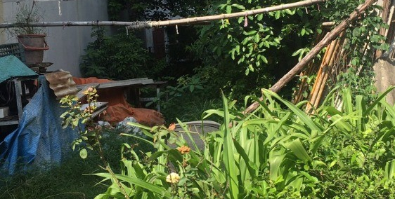 Em bán 42m2 MT 4m, Hậu 4.1m, Đặng Xá, Ô Tô thoải mái, giá 26.5Tr/m2