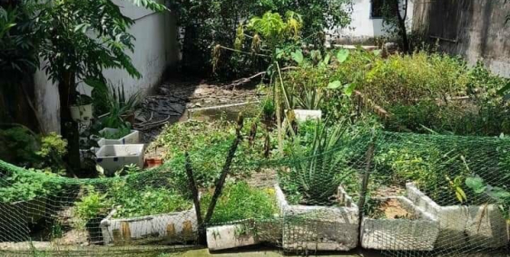 Cần Tiền Bán Gấp Lô Đất Mặt Tiền XTT17 - Hóc Môn